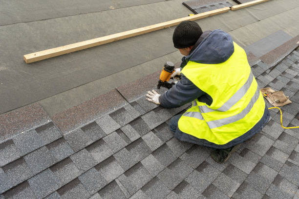 Best Roof Leak Repair  in New Tazewell, TN