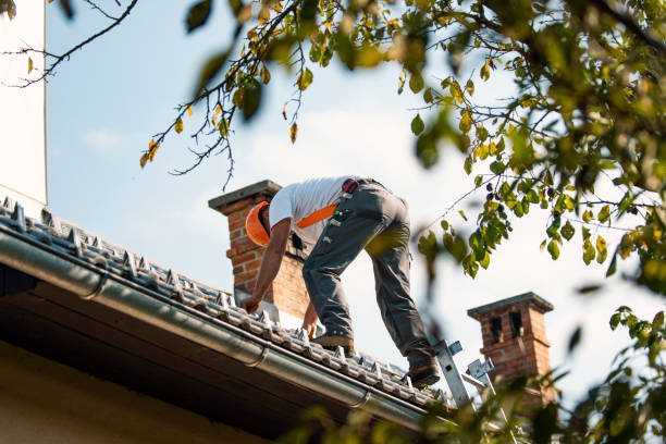 Roof Waterproofing Services in New Tazewell, TN