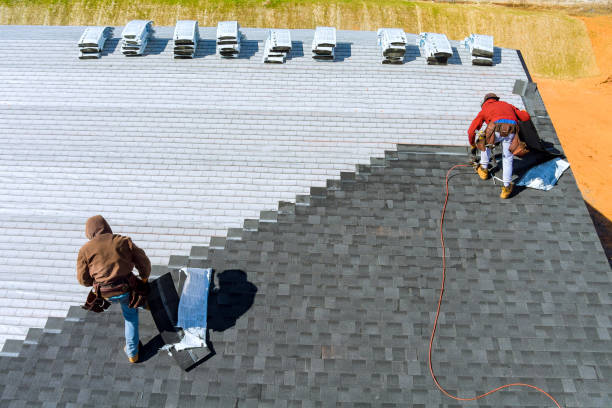 Best Storm Damage Roof Repair  in New Tazewell, TN